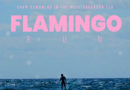 Flamingo Run – 50km downwind nel Mediterraneo